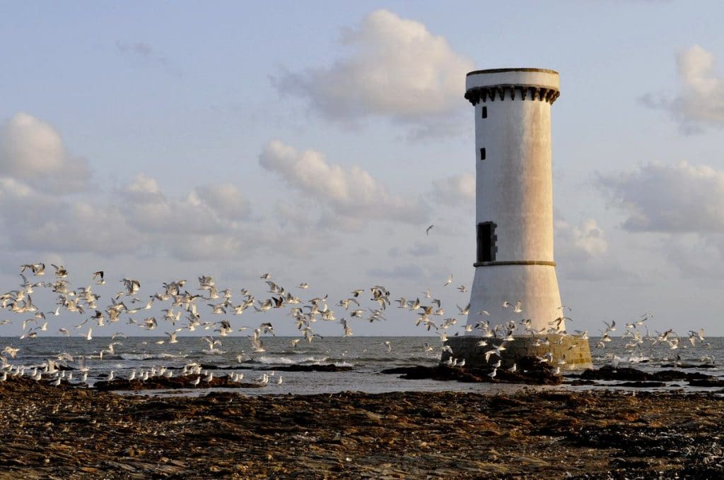 Aloa Vacances : P1050425b 1024x680