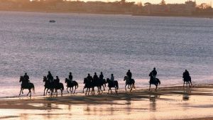 Aloa Vacances : Balade Cheval