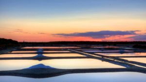 Aloa Vacances : Les Ajoncs Guerande