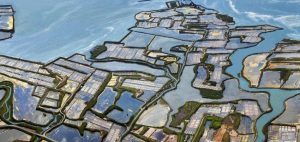 Aloa Vacances : Les Ajoncs Guerande Alentours