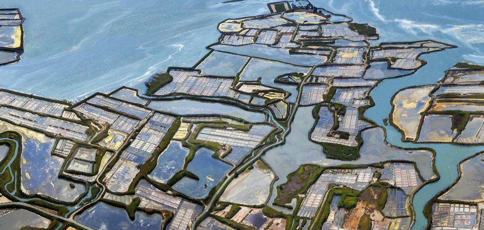 Aloa Vacances : Les Ajoncs Guerande Alentours