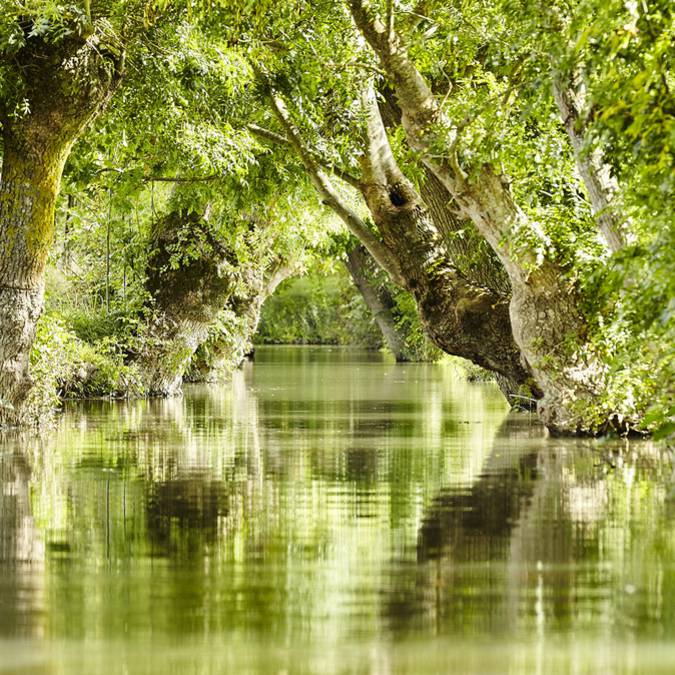 Aloa Vacances : Les Pirons Marais Poitevin Tourisme