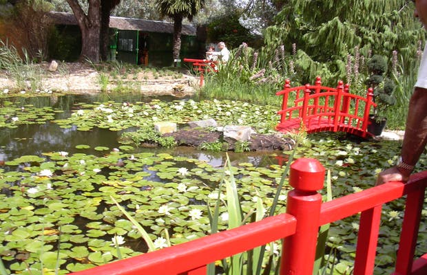 Aloa Vacances : Les Pirons Parc Floral De La Court D Aron Toursime