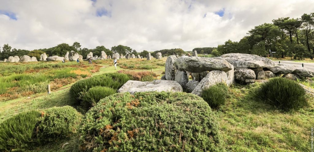 Aloa Vacances : Carnac
