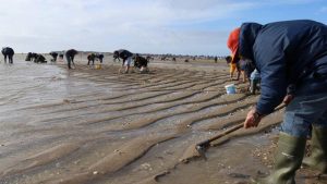 Aloa Vacances : Peche