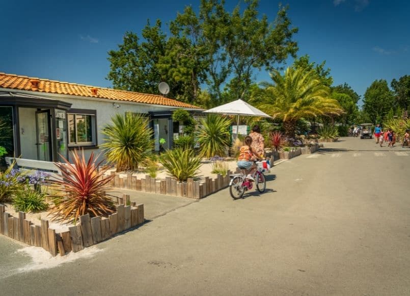 Aloa Vacances : reception du camping sur l'île d'oléron - oléron loisirs 