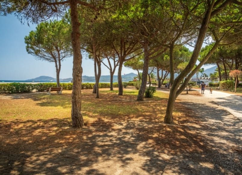 Aloa Vacances : paysage près du camping à Argelès