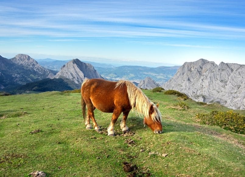 Aloa Vacances : Ur Onea Pays Basque