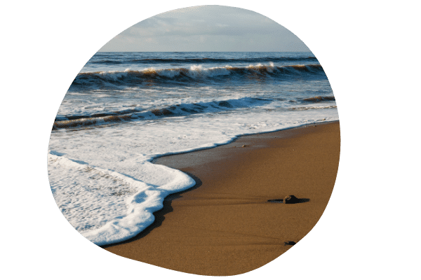 Aloa Vacances : Vagues Vendee