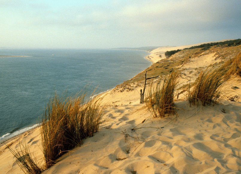 Aloa Vacances : Alentours Oree Du Bois 