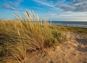 Aloa Vacances : Photos Riez Juillet 2023 Paysages 39