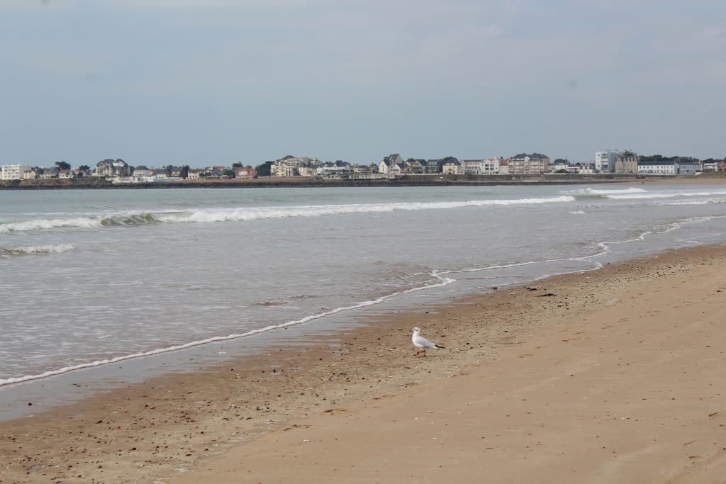 Aloa Vacances : plage sable d'olonne