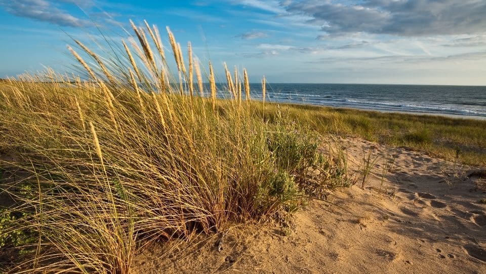Côte sauvage des Sables d'Olonne