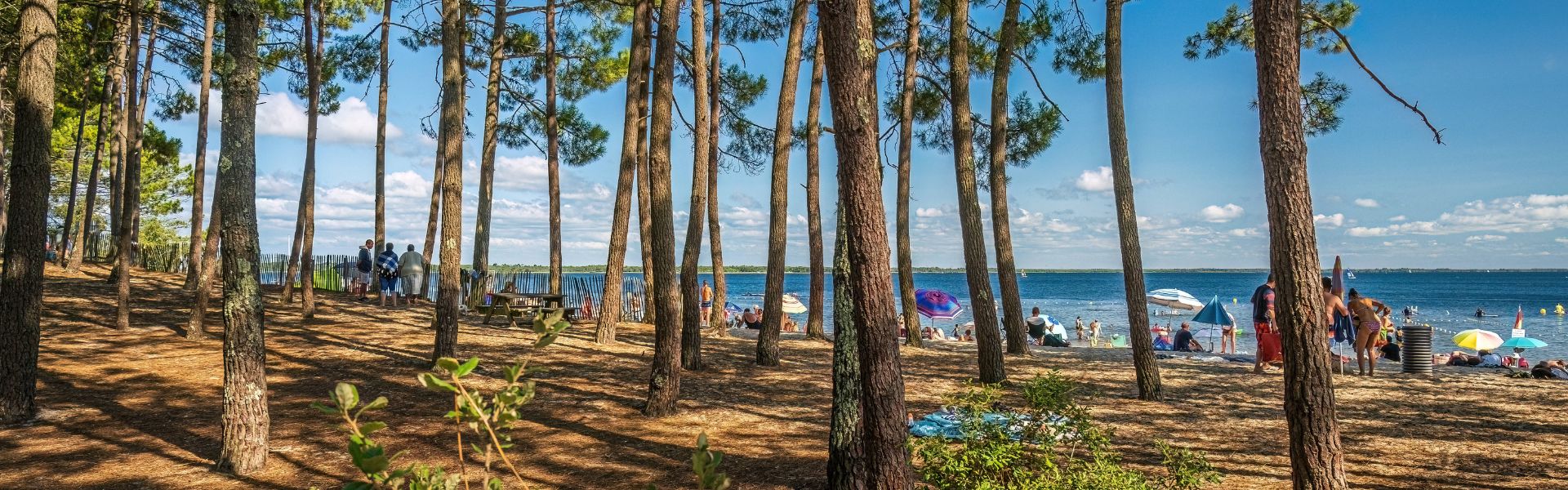 Aloa Vacances : Home oree