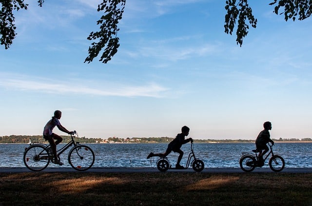 Aloa Vacances : Vélodyssée en Vendée